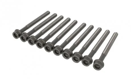 Болти головки (к-кт 10шт.) VW Passat 1.8/2.0 TSI 05- ELRING 323.300