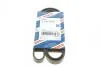 Ремінь генератора Opel Zafira 1.6 05-15/ Suzuki Baleno1.8i 96-02/ Grand Vitara2.0 98-15 (5PK1545) BOSCH 1987946236 (фото 1)