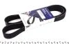 Ремень генератора Mazda 3/5/6 2.0 DI/CD 02-10 (8PK1225) HUTCHINSON 1225 K 8 (фото 1)