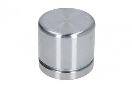 Поршенек суппорта SEINSA AUTOFREN D025491