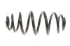Пружина підвіски SOLGY 212001 (фото 1)