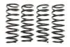 Комплект пружин підвіски EIBACH E10-20-022-01-22 (фото 1)