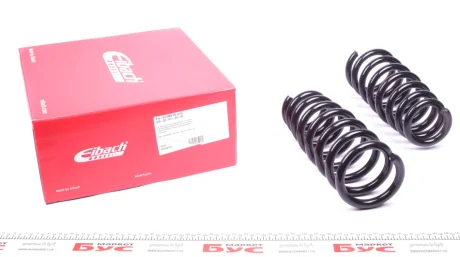 Комплект пружин (передних) (Pro-Kit) BMW X6 (E71/E72) M 07-14 (2 шт.) EIBACH E10-20-017-04-20