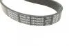 Комплект ремня DAYCO KPV222 (фото 2)