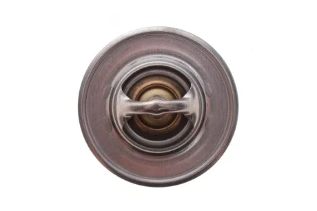 Термостат Audi A1/A3/Skoda Praktik/VW Golf/Polo 1.6TDI 00- MOTORAD 200-91K