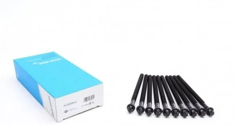 Болты головки (к-кт 10шт.) BMW X5 (E53/E70) 03-13, N62 VICTOR REINZ 14-32308-01