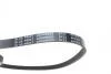 Ремень генератора Citroen Berlingo/Peugeot Partner 1.1/1.4/1.6, 96-/Hyundai Elantra/Tucson 2.0 00- BLUE PRINT AD04R855 (фото 2)