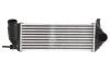 Інтеркулер THERMOTEC DAR006TT