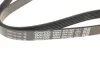 Ремінь генератора поліклиновий DAYCO 6PK1087 (фото 2)