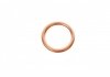 Уплотнительное кольцо, резьбовая пр; Уплотнительное кольцо Fischer Automotive One (FA1) 968.330.100 (фото 2)