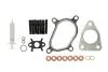 Комплект прокладок турбіни Opel Movano/Renault Master II 2.2dCi/2.2DTI 00- 470.580