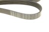 Ремень генератора BMW 7 (E65/E66/E67) 4.0/4.5D 02-08/Honda Accord 2.0 03-08 (7PK1760) BOSCH 1987946255 (фото 5)