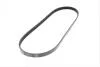 Ремень генератора Fiat Fiorino/Nissan Primera 1.6 90-03/ Daewoo Matiz 0.8 98- BLUE PRINT AD04R915 (фото 5)