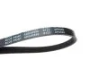 Ремінь генератора Audi 80 2.0 92-96/ Kia Carens/ Sportage/ Sephia 1.4-2.0 96- BLUE PRINT AD04R890 (фото 2)