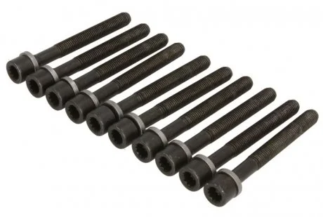 Болт головки блока ELRING 819.808