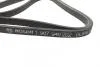 РЕМІНЬ П-КЛИНОВИЙ 6DPK1825 1 987 946 202 BOSCH 1987946202 (фото 3)