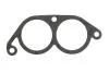 Прокладка впускного колектора ELRING 705.617 (фото 1)