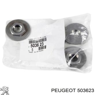 Гайка м8х125 PEUGEOT Peugeot/Citroen 5036 23
