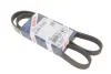 Ремінь генератора Fiat Doblo/Punto 1.2/1.4 99- (5PK1175) BOSCH 1987948301 (фото 1)