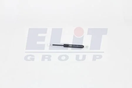 Лев./ прав. пружина задней двери COMBI MAGNETI MARELLI GS0534