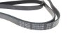 Ремінь генератора Hyundai i30 1.4-1.6 07-16/ i20 1.1-1.6 08-15/ Suzuki Grand Vitara 2.0 96-03 BLUE PRINT AD05R1644 (фото 2)