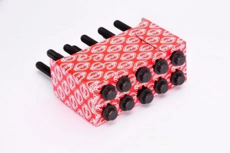 Болти головки блоку циліндрів ELRING 709.810