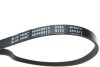 Ремень генератора Hyundai Elantra 1.6 00-06/ Accent 1.4-1.6 00-10/ Nissan Primera 1.6 96-02 BLUE PRINT AD04R813 (фото 2)