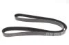 Ремінь генератора Fiat Punto/Opel Combo/ Corsa/ Agila 1.3 CDTI 03-/ Suzuki Swift 1.3 DDiS 05- BLUE PRINT AD06R1318 (фото 3)