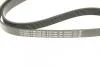 Ремень генератора MB Citan 12- (6PK1195) BOSCH 1987945704 (фото 5)