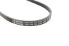 Ремінь генератора Toyota Yaris 1.5/1.3 00-/Corolla 1.3 13-18 (4PK1170) BOSCH 1987945724 (фото 2)