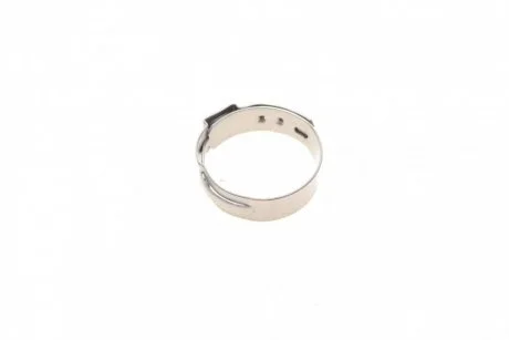 Хомут металевий (31x1/10 мм) FEBI BILSTEIN 29821