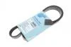Ремінь генератора Ford Focus 1.4i 98-01/ Honda Accord/ Prelude 2.2 96-02 BLUE PRINT AD06R1042 (фото 1)