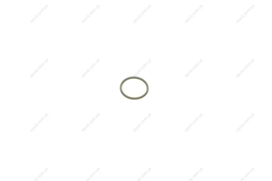 Уплотнительное кольцо форсунки Audi A6 2.5TDI 00-05 BOSCH 2430210088 (фото 1)