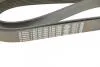 Ремінь полікліновий BOSCH 1987947062 (фото 5)