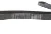 Поліклиновий ремінь 1 987 947 399 BOSCH 1987947399 (фото 4)