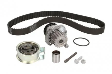 Водяний насос + комплект зубчатого ременя INA 530 0091 31