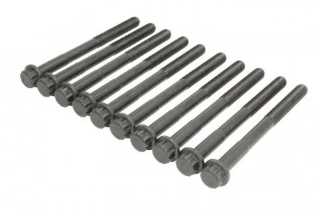 Комплект болтів двигуна з фігурною головкою VICT_REINZ VICTOR REINZ 14-11664-01