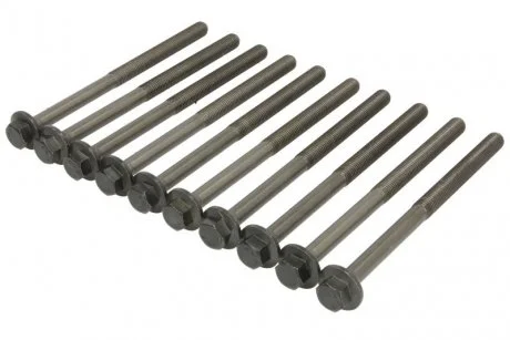 Компл. болтов ГБЦ CHEVROLET CAPTIVA (11-) 2.4i (10шт) AJUSA 81029200