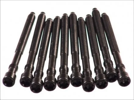 Болты головки (к-кт 10шт.) VW Passat 2.0i 01-05 ELRING 057.410