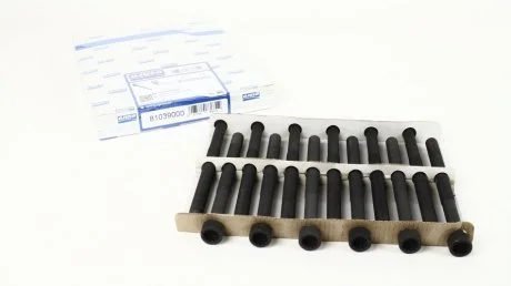 Болти головки блоку T5 2.5TDI (12 шт.) -09 AJUSA 81039000