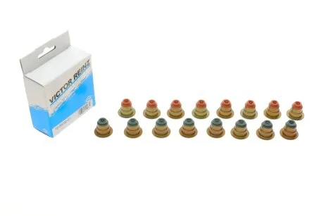 Сальник клапана (впуск/випуск) Ford Transit Connect 1.8 16V 02-13 (к-кт) VICTOR REINZ 12-33032-01