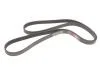 Ремінь генератора Ford Transit 2.3 16V 00-06 (RWD) Gates 6PK1955 (фото 4)