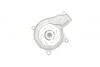 Насос системи охолодження CONTI Contitech WPS3029 (фото 3)