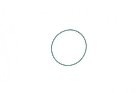 Прокладка насосу вакуумного Audi (53x57x2) ELRING 790.000