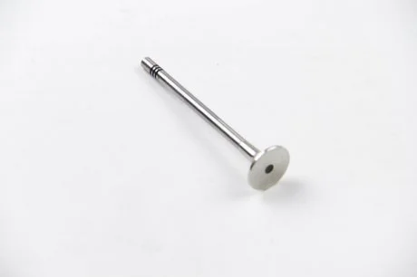 Клапан випуск. A4/A6/SUPERB /PASSAT 2.5TDi 01-06 BGA V164541