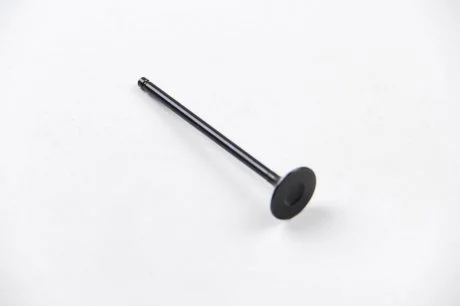 Клапан випуск. NOTE/QASHQAI/TIIDA 1.2/1.6i 07- BGA V165411