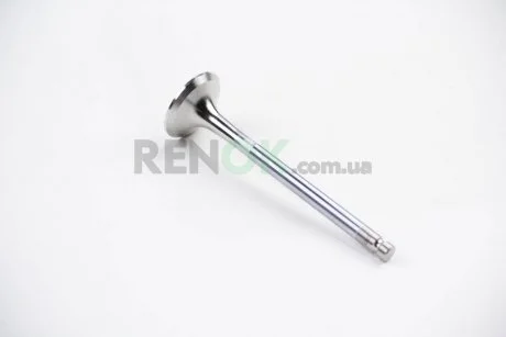 Клапан випуск Doblo 1.6i BGA V171043