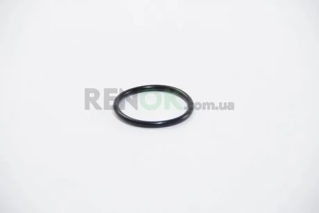 Прокладка термостата Omega A/Fabia/Octavia/Caddy/Golf 1.4/1.6i (47x4) BGA OR4345