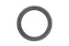 Цепь масляного насоса2,0 16V Renault Duster 2010- Renault RENAULT 77 01 478 100 (фото 2)