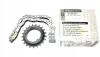 Комплект ланцюга масляного насоса (150A00005R) Renault